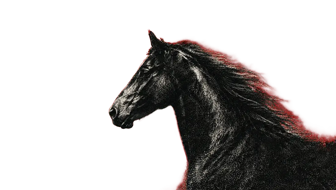 Un caballo negro de perfil, con la crin al viento, sobre papel rojo.